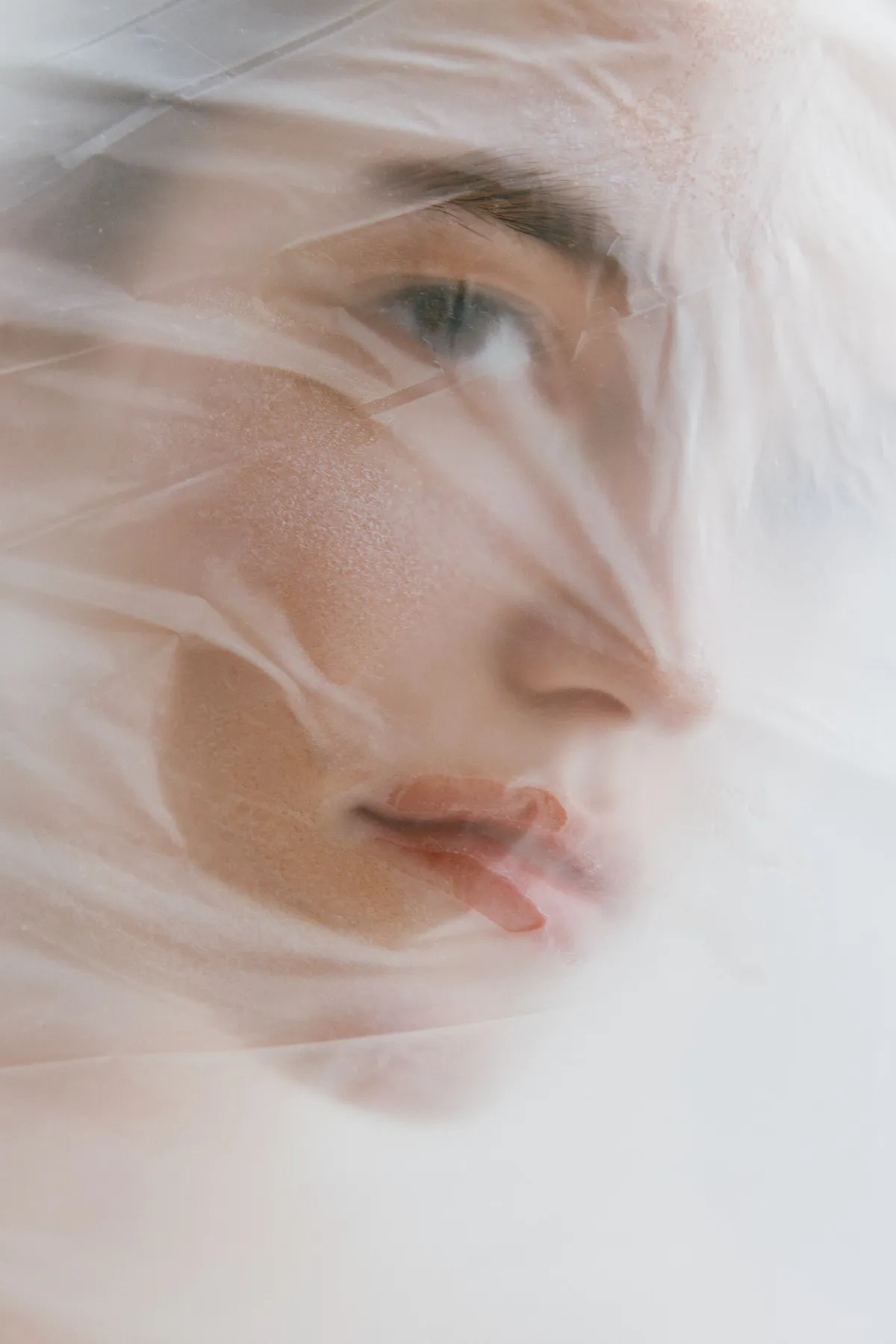 Translucent